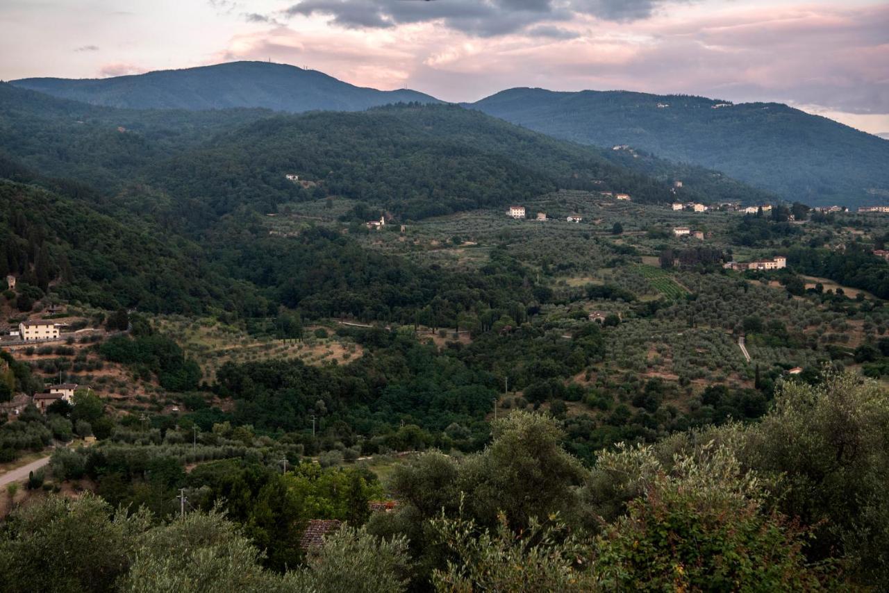 Fattoria Di Caticciano, Elegante Affittacamere Relax E Natura Vicino Firenze Pelago Bagian luar foto