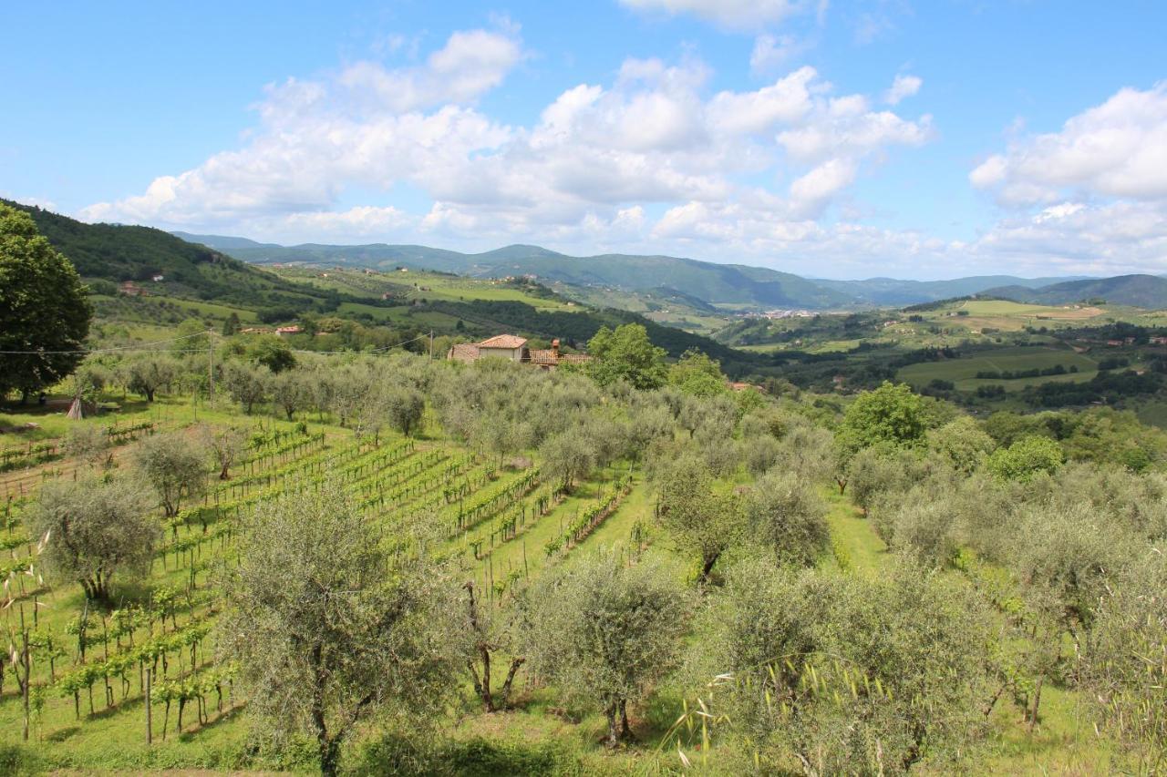 Fattoria Di Caticciano, Elegante Affittacamere Relax E Natura Vicino Firenze Pelago Bagian luar foto